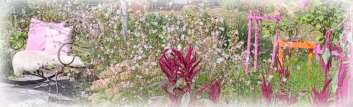 ursulas_garten_zeit_mycafe